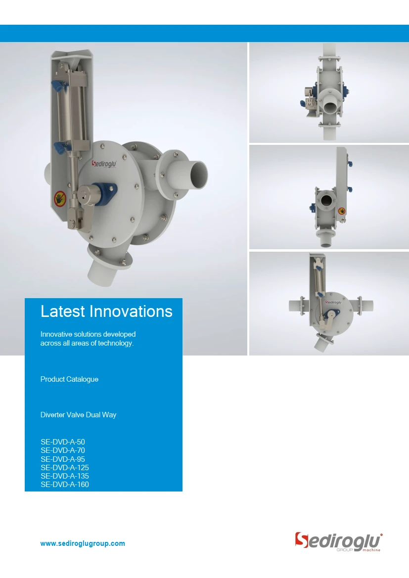 Diverter Valve Dual Way 70