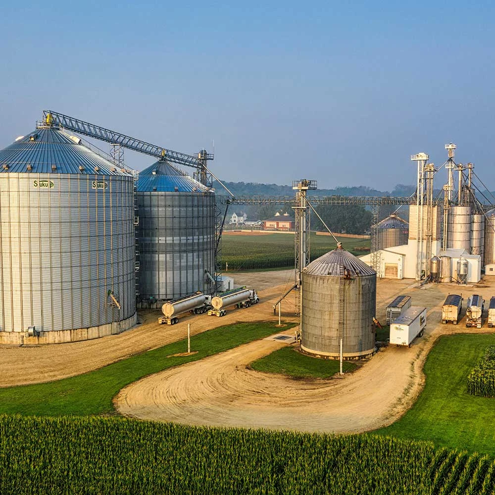 Turnkey Grain Silo Projects