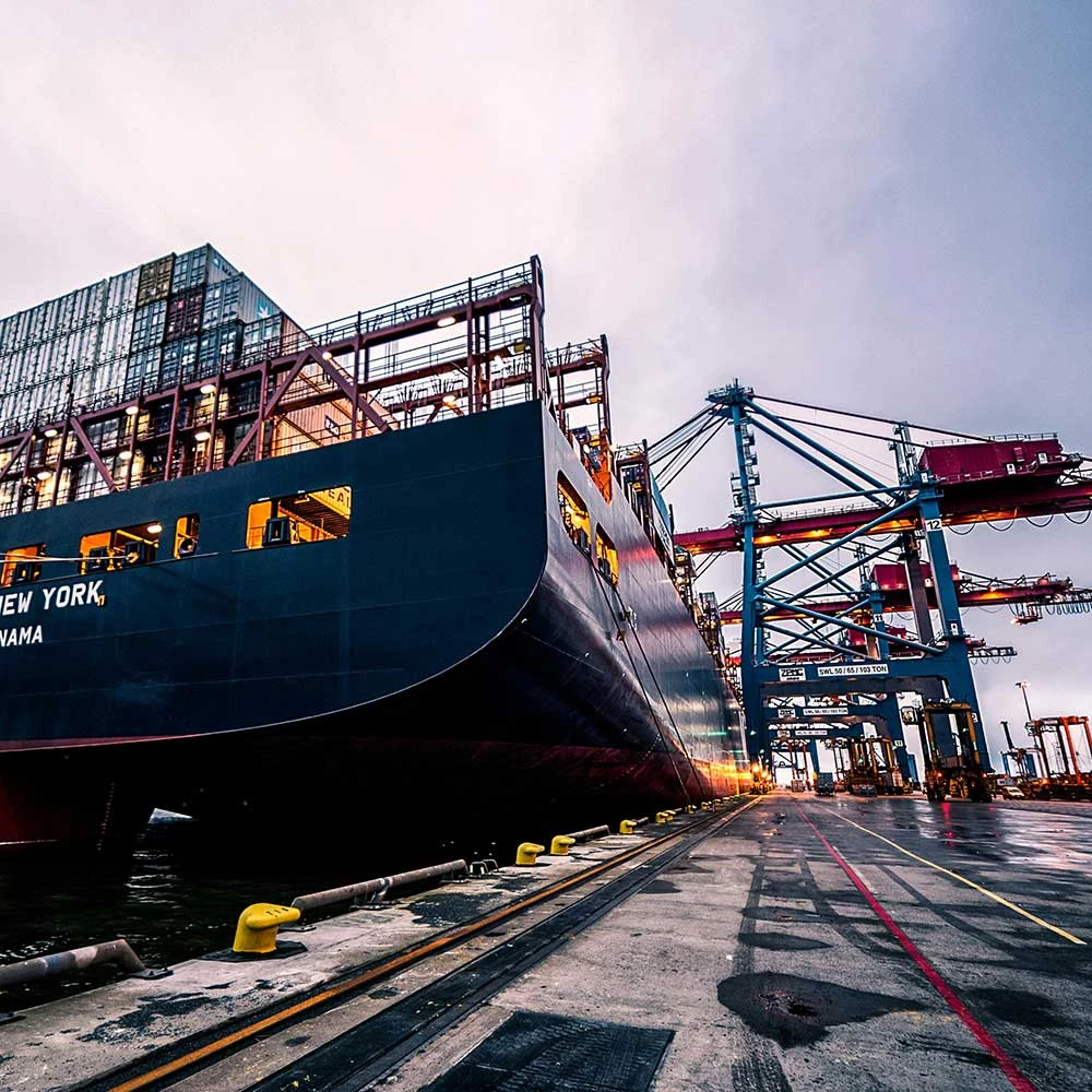 Grain Silo Export & Global Logistics