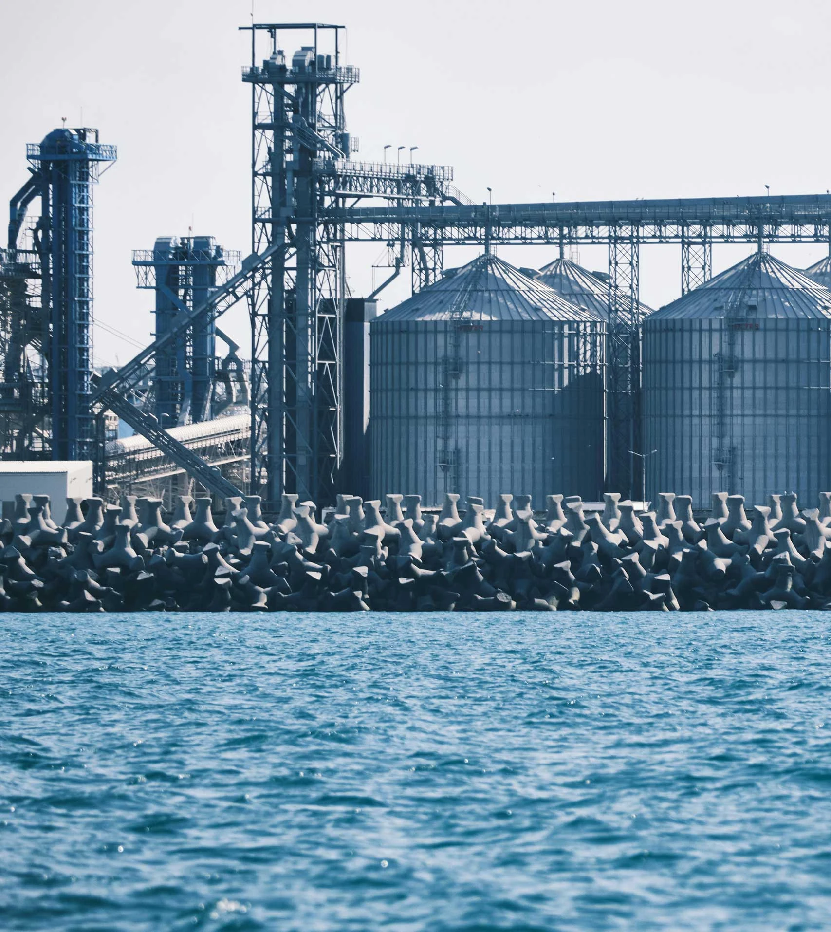 Grain Silo Export & Global Logistics