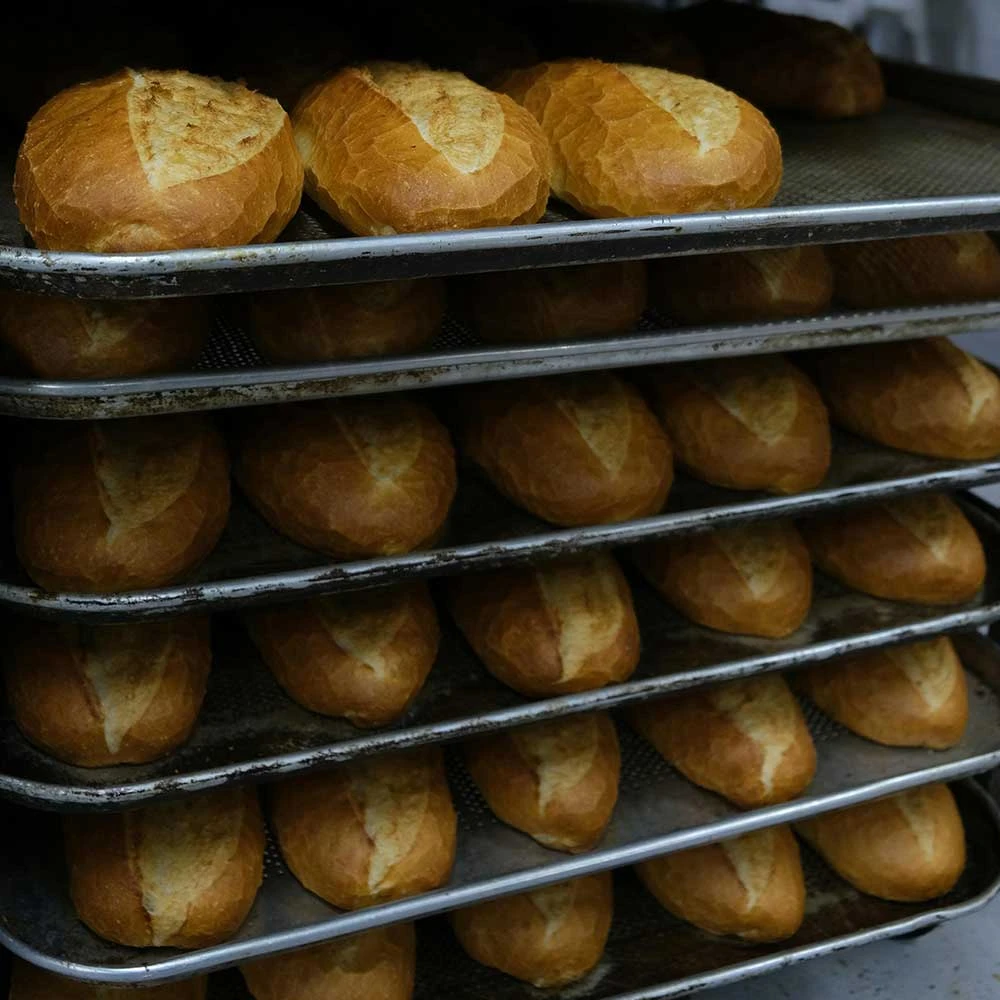 Bakery Flour Characteristics & Milling Technology