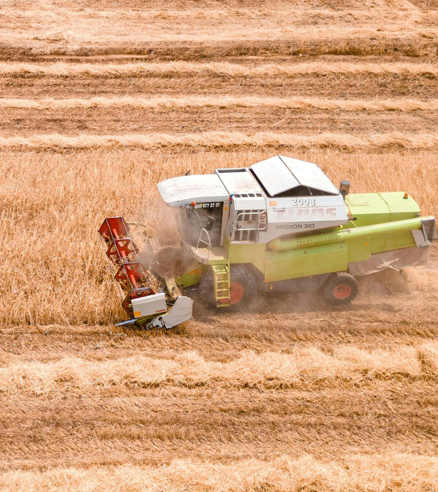 From Wheat to Final Product: Complete Milling Process