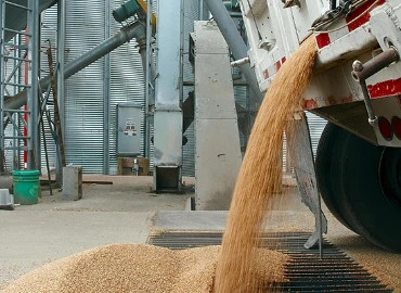 Grain Silo Manufacturing & Export Solutions