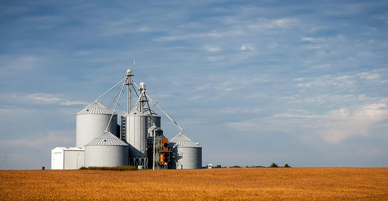 Grain Silo Manufacturing & Export Solutions