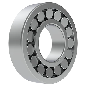 Intensive Scourer Bearing (Ball Bearing)