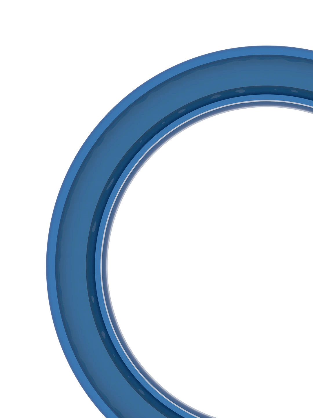 Oil seal installed on Intensive Scourer shaft