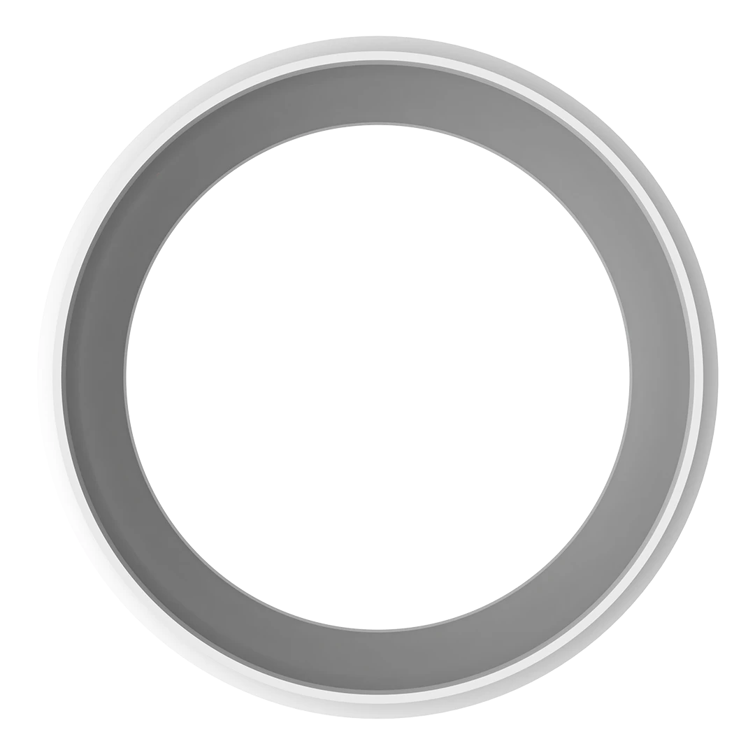 Application Description