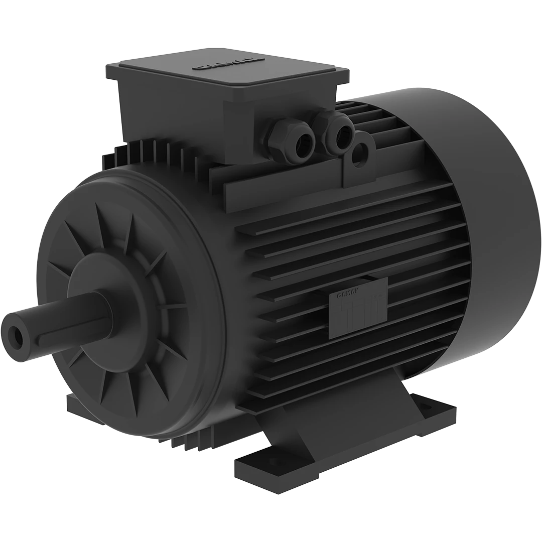 Dust Aspirator Motor Spare Part for Biscuit Plant