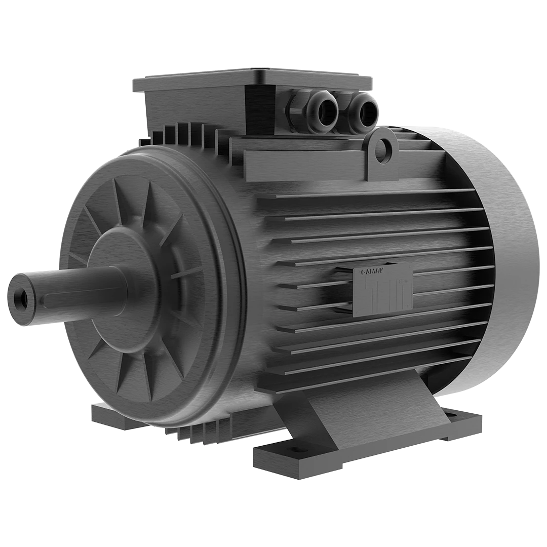 Durable Motor Used in Flour Mill Cleaning Section