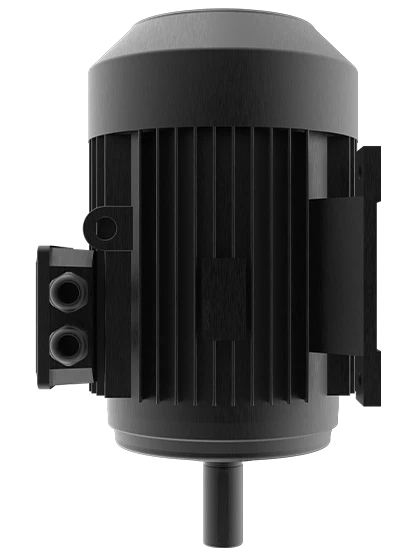 Reliable Flour Mill Motor for Grain Conditioning Process